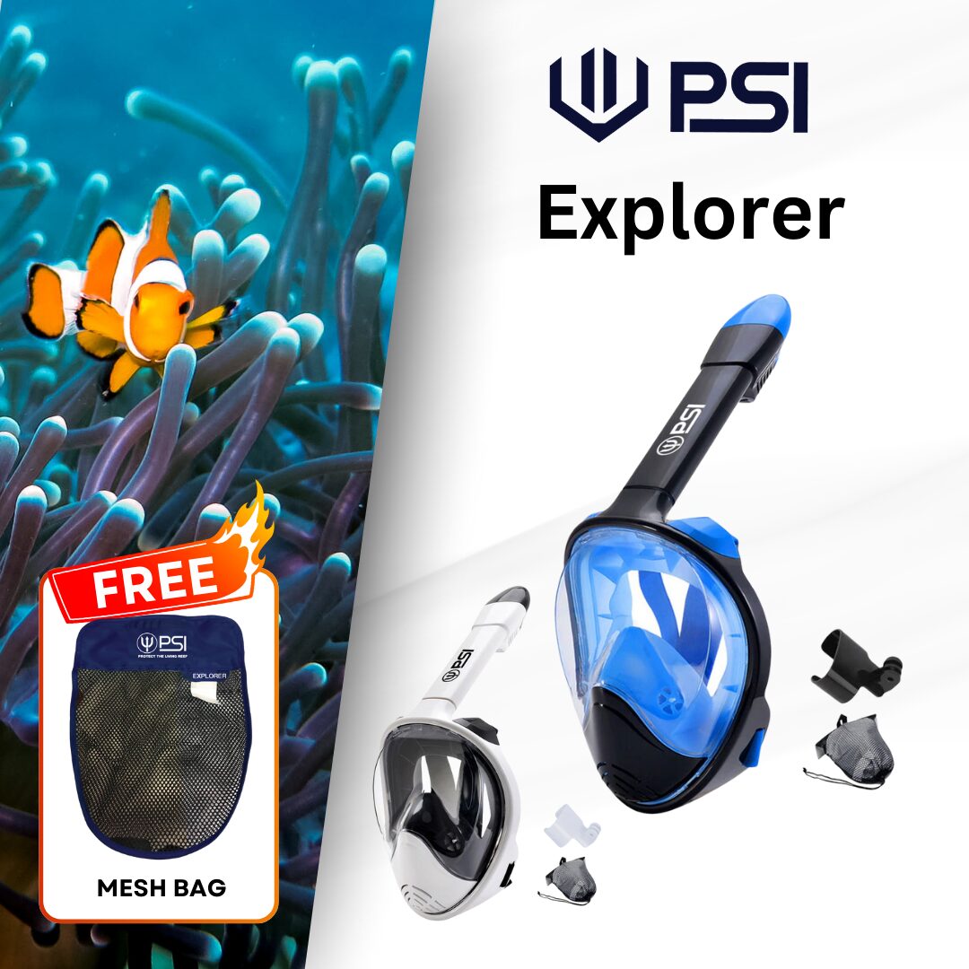PSI Snorkeling Full Face Mask