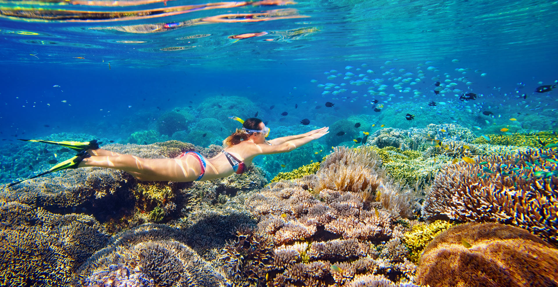 Snorkeling slider banner